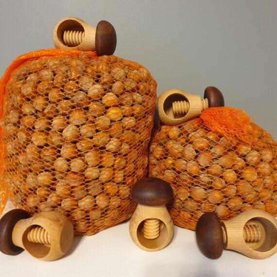 Sarapuu pähklid 10 kg