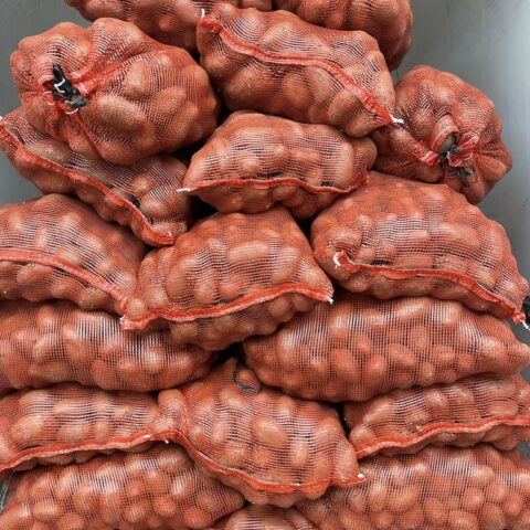 581098737_809941318707508_7205239603035229093_n